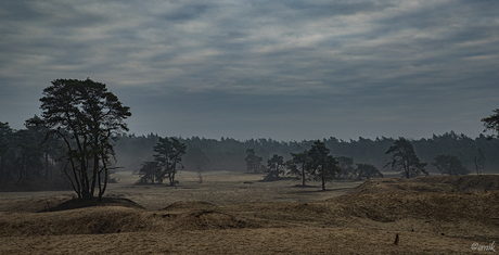 Ommen-Junne - De Sahara