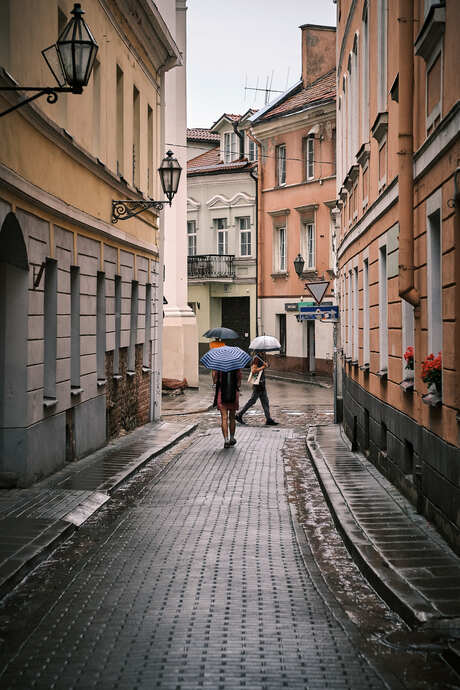 Wandering Vilnius umbrellas