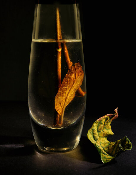 ...... verdronken......