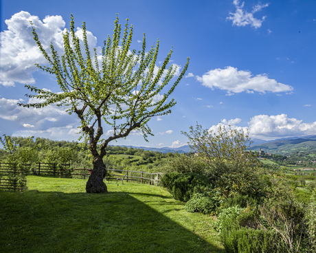 landschap Poppi Toscane Italië