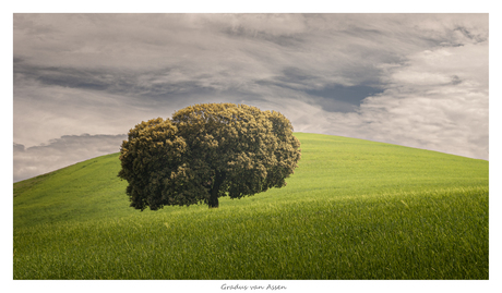 Ergens in Andalusië