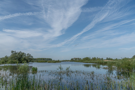 rustige natuur