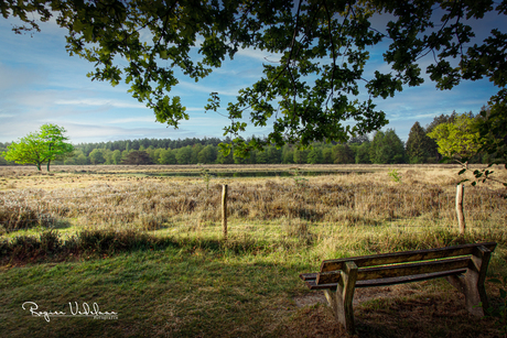 Uitzicht op het mooie landschap