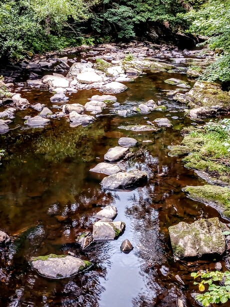 Sankt-Vith 🚲👉 Monschau - Het dal van de Rur, Monschau (D)