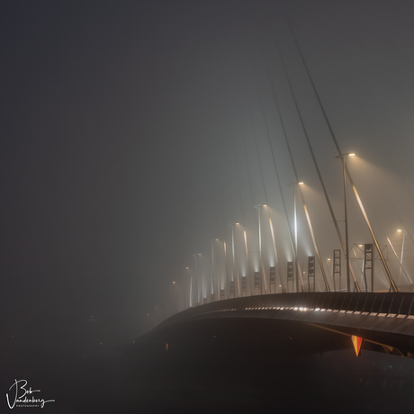 De Zwaan in de Mist