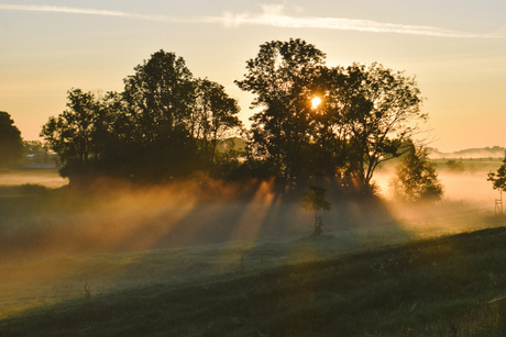 Zomerse zonneharpen