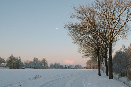 winterlandschap met maanondergang