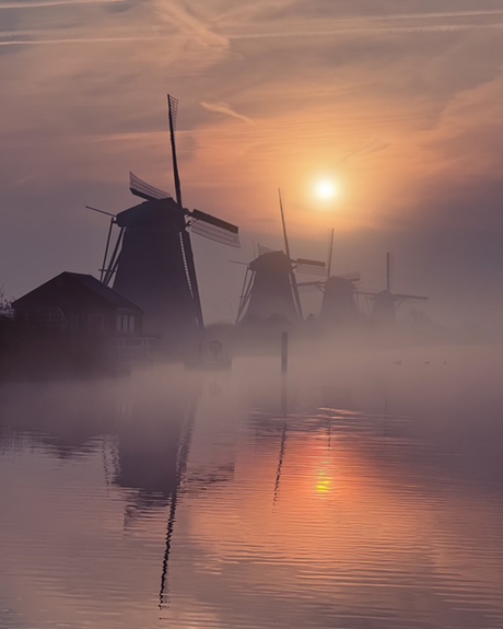 Hollands icoon 