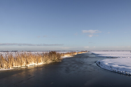 Winter in het Hollands landschap