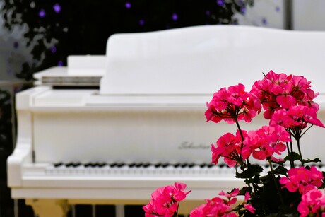 Piano op de achtergrond