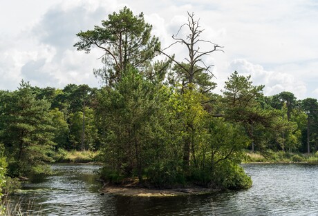 Eilandje