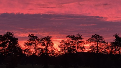Ochtendrood, water in de sloot