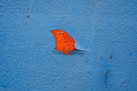 Het blauwe scheurtje.