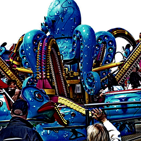 at the fair