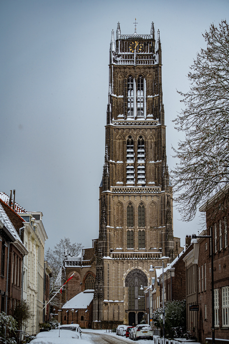 Winter in Zaltbommel