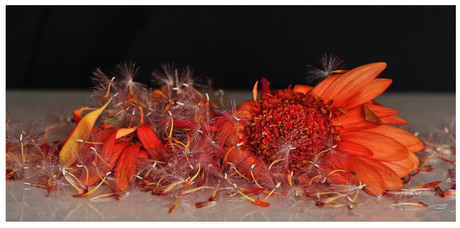 verwaarloosd......................