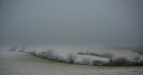 White out Weinfelder maar