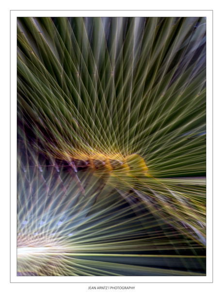 ICM
