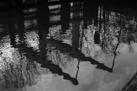 Om en bij "Brug Groene woud"