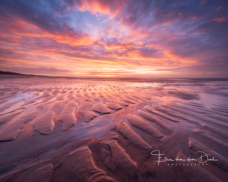 The beach light