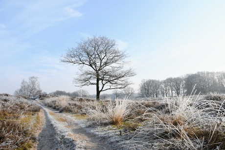 Bij gebrek aan fatsoenlijk weer....