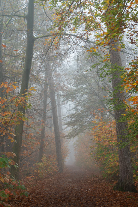 Herfst