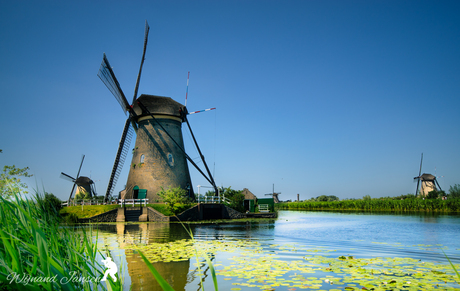 Kinderdijk Mill area. ⭐