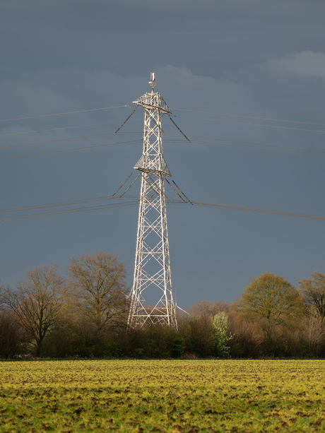 Zilveren Mast