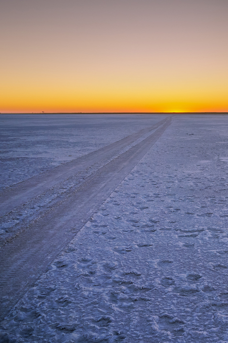 Makgadikgadi Pan