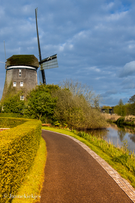 Molen