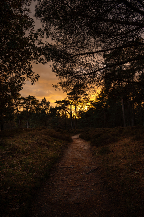 zonsondergang