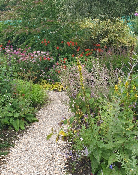 Een tuin in Meeden