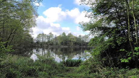 Fischteig