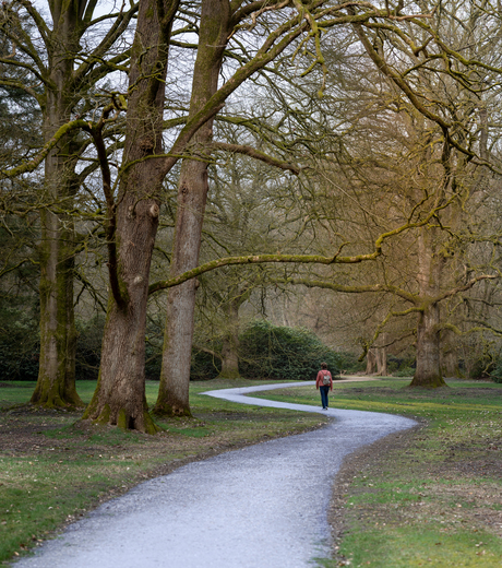 wandel gebied    LOOPARK 