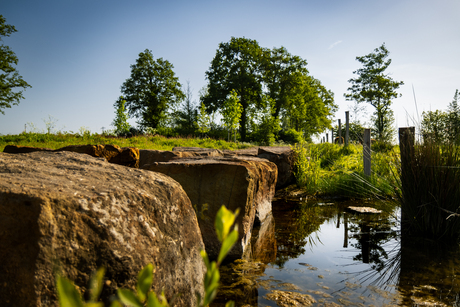 stepping stones