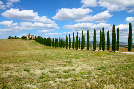 Toscaans Landschap