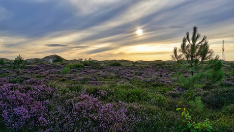 Wandeling in de avonduren 