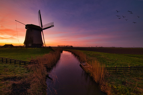 Kleurenpalet in de polder