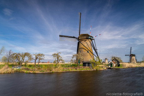 Winderig Kinderdijk