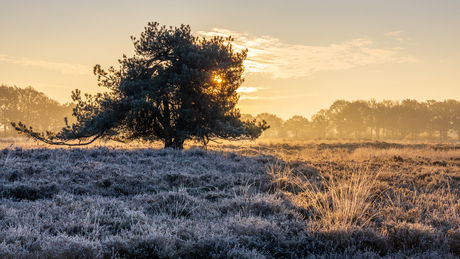 Frisse zonsopkomst