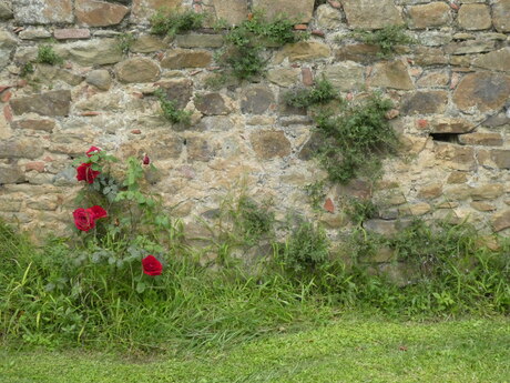 Sfeertje