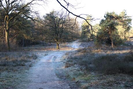 Ochtendwandeling 