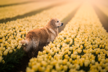 How lovely yellow is 💛
