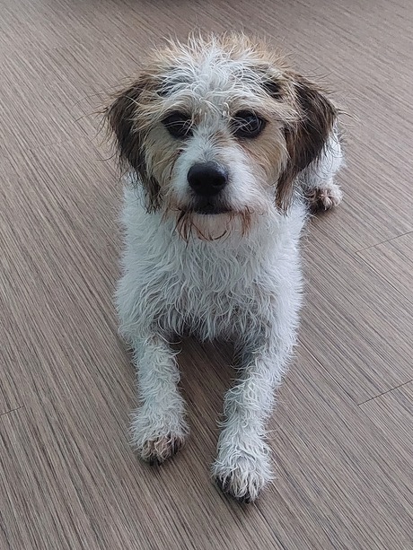 Macho onder de douche geweest 