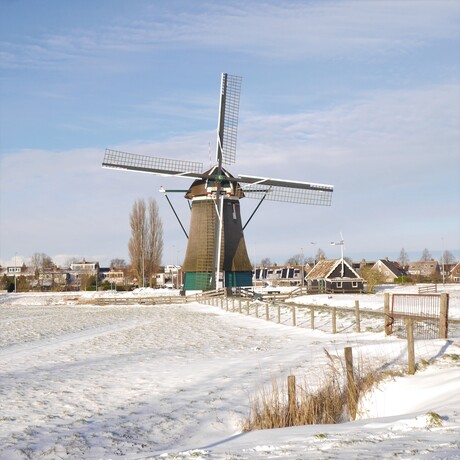 molen