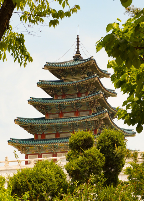 On the Seoul palace ground