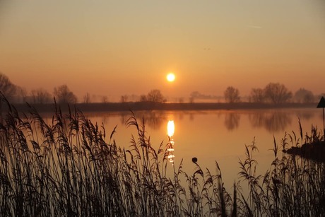 Aan de Maas in Andel 