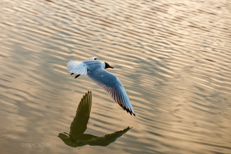 spiegelbeeld