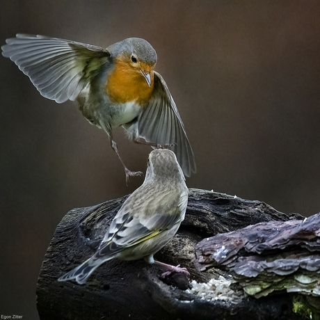 landing