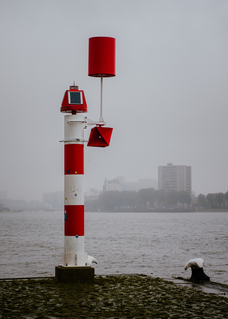 Haven van Rotterdam